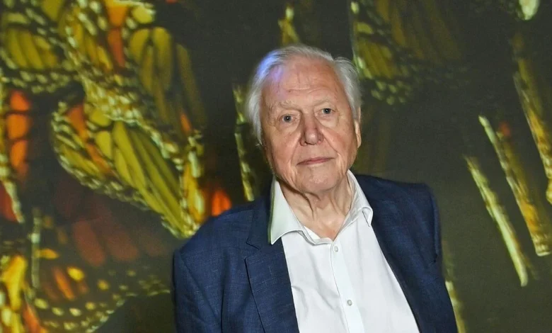 David Attenborough’s wife and the devastating call that ended 47-year marriage