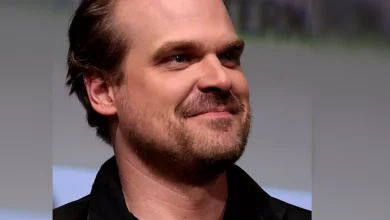 David Harbour Crisis: 'Career Armageddon' Looms Over Millie Bobby Brown 'Bullying' Claims