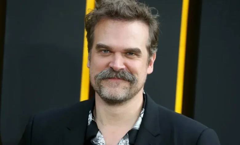 David Harbour admits he 'fell in love' with co-star on Stranger Things set