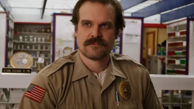 David Harbour reveals he ‘fell in love’ with Stranger Things co-star as he admits to ‘slip-ups’ amid Lily Allen divorce