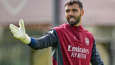 David Raya reveals which Arsenal summer signing has impressed him most