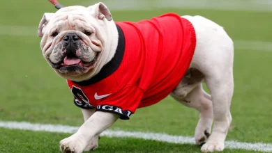 Dawgs at No. 4 in AP poll; Sooners vault to No. 8