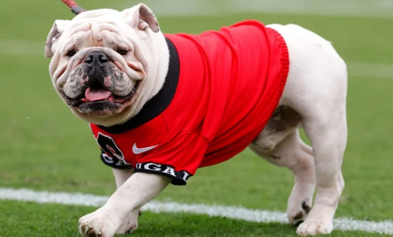 Dawgs at No. 4 in AP poll; Sooners vault to No. 8