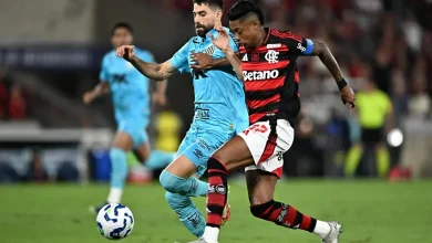 Decisão da arbitragem em Flamengo x Santos gera debate: 'Na cara'