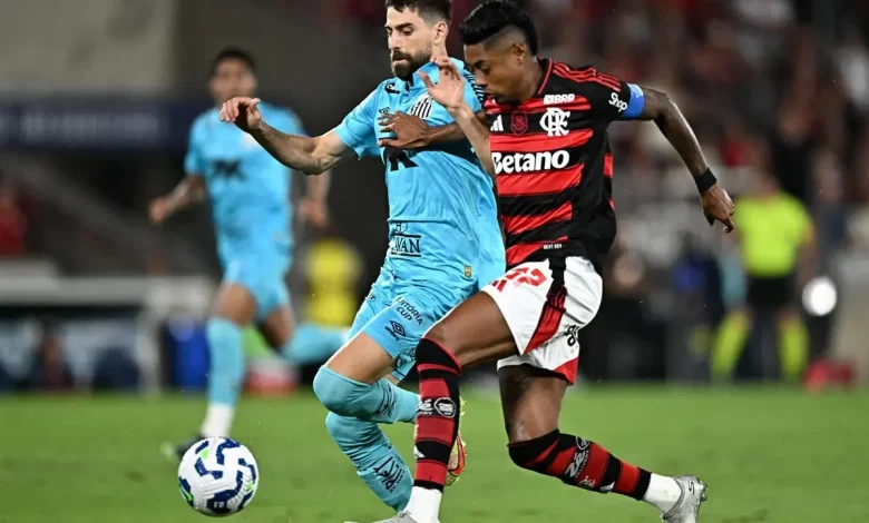 Decisão da arbitragem em Flamengo x Santos gera debate: 'Na cara'