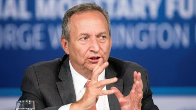 'Deeply ashamed' former US treasury secretary Larry Summers quits public life over links to Jeffrey Epstein