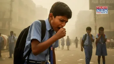 Delhi Schools Tomorrow Live Updates: Are Delhi Schools Closing Due To Increased Air Pollution? Check Latest Status