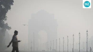 Delhi blanketed in grey haze as farm fires, firecrackers spike AQI by 100 points | Latest News Delhi