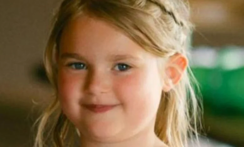 Delivery driver who killed girl, 7, in head-on crash in Lincolnshire jailed for six years