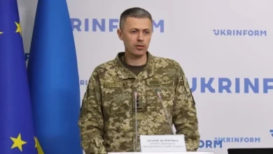 Demchenko names grounds for denial of entry to EU countries under new control system