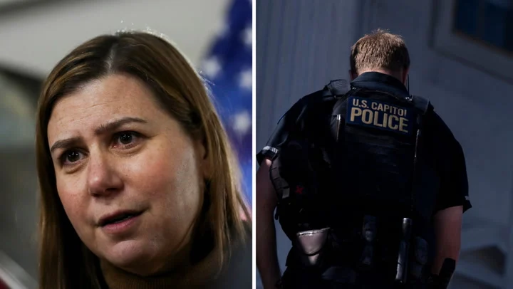 Democrat senator given 24/7 security after Trump ‘seditious behavior, punishable by death’ accusation