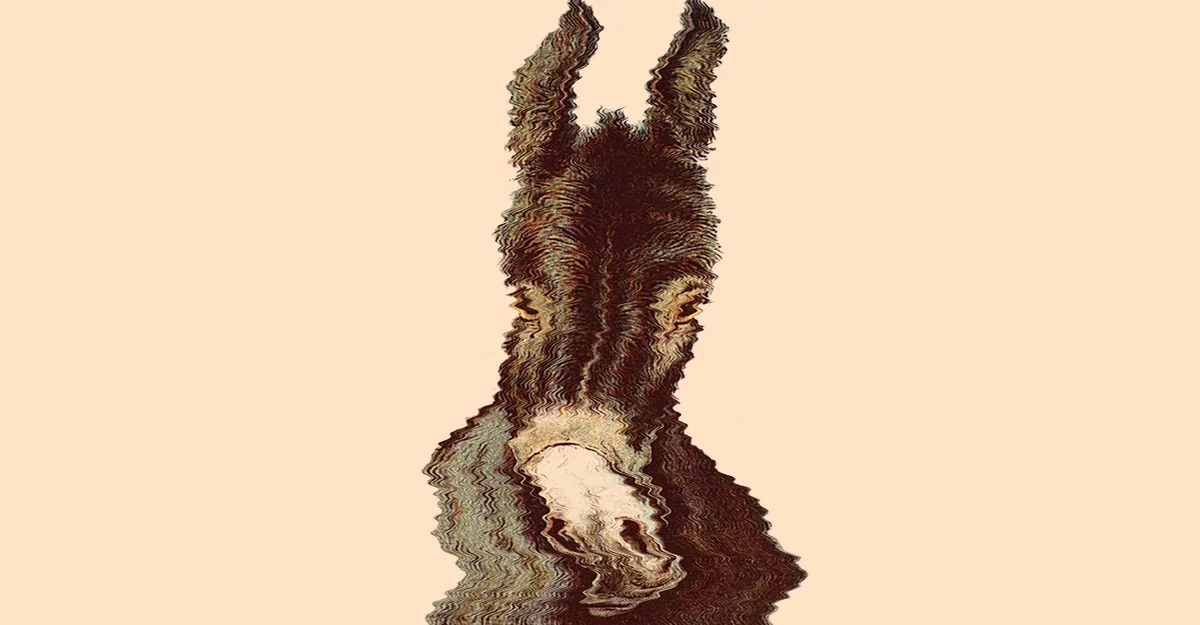 Democrats Haven’t Solved Their Electoral Problem