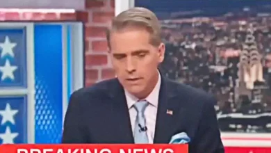 Democrats Score Election Night Sweep, Leaving Conservatives In Dismay