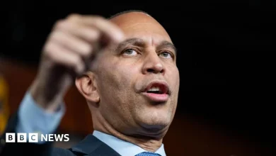 Democrats left bruised after historic shutdown yields little