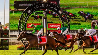 Derby Day Delivers at Eagle Farm with Brisbane Broncos Raceday