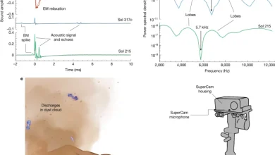Detection of triboelectric discharges during dust events on Mars