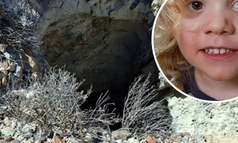 Detectives fail to uncover any evidence of missing boy Gus Lamont during extensive search of disused mineshafts