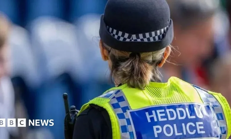 Devolve policing when crime commissioners go, says Plaid Cymru