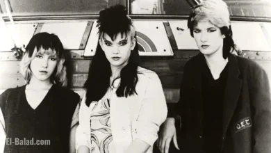 Diane Lane Celebrates Her Iconic Role in Punk History with ‘Fabulous Stains’