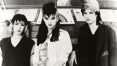 Diane Lane Feels “Very Vindicated” To Be Part Of Punk History With ‘Fabulous Stains’ Role