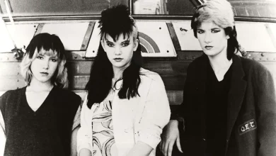 Diane Lane Reflects on Cult Classic 'Ladies and Gentlemen, The Fabulous Stains' and Its Punk Legacy