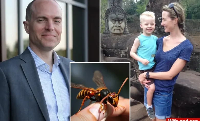 Director of elite private school, son stung to death by swarm of Asian giant hornets during zip-line vacation