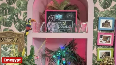 Discover Dublin’s Leading Nail Salon’s Unique Pop-up Event Celebrating World AIDS Day 2025