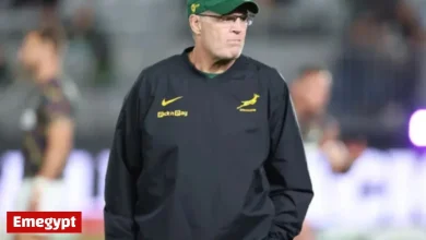 Discover When the Springboks Will Learn Their 2027 Rugby World Cup Opponents