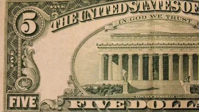 Discover the $5 Bill Challenge: A Fun Way to Save Money