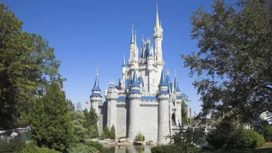 Disney Visitor Dies After Jumping from Hotel Balcony in Shocking Incident