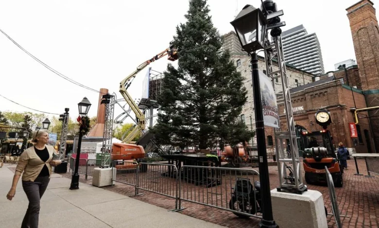 Distillery District Winter Village files police report over fake website full of gambling ads. How it happened, and what to watch for