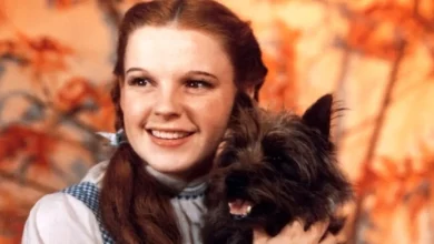 Documentary Tracking the Creation of The Wizard of Oz Film to Have 2026 Release