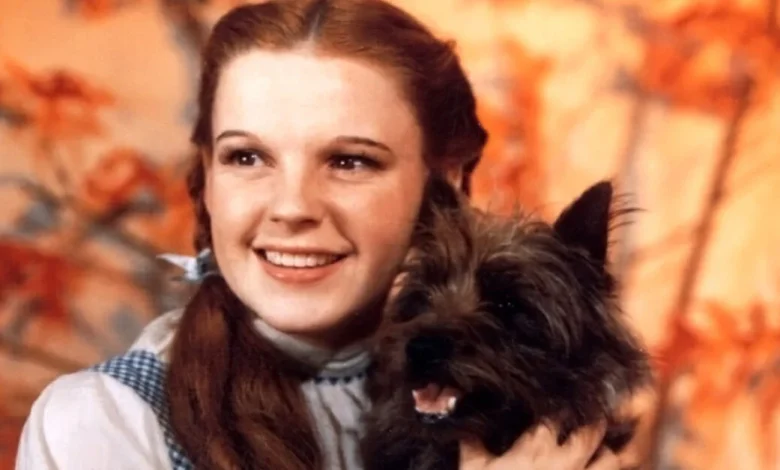 Documentary Tracking the Creation of The Wizard of Oz Film to Have 2026 Release