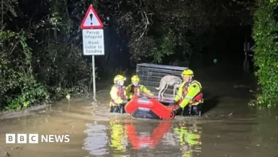 Dogs trapped as heavy rain floods Carmarthenshire rescue centre