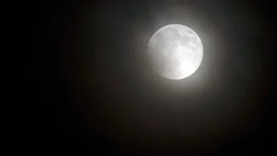 Don’t miss the biggest supermoon of 2025: Here’s when the big Beaver Moon rises over Ontario in November