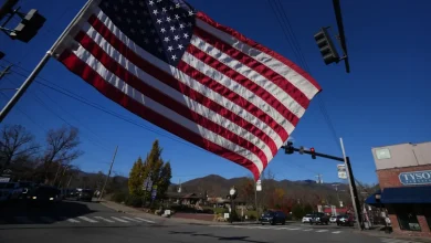 Don't miss these top freebies and discounts offered for Veterans Day