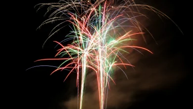 Don't spark trouble: Hamilton's guide to a safe Guy Fawkes