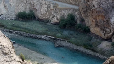 Drinking water in Tehran could run dry in two weeks, Iranian official says