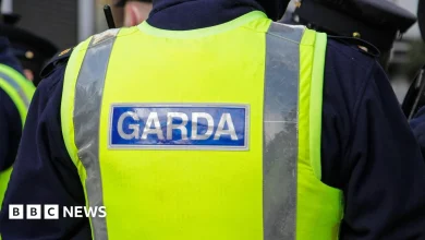 Drogheda: Children hospitalised after fireworks thrown at property