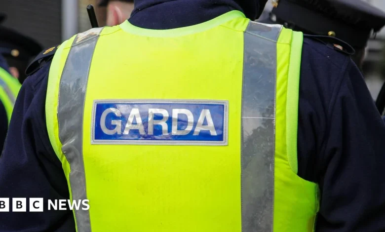 Drogheda: Children hospitalised after fireworks thrown at property