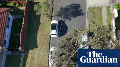 Drone footage shows huge gum tree on car after NSW storms – video