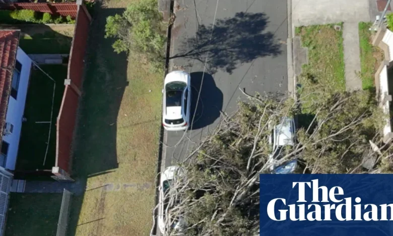 Drone footage shows huge gum tree on car after NSW storms – video