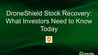 DroneShield Stock Recovery: What Investors Need to Know Today