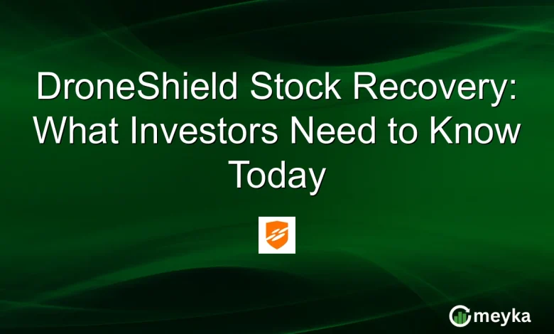 DroneShield Stock Recovery: What Investors Need to Know Today