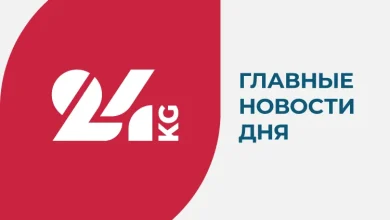 Drug ring detained in Bishkek: Local administration employee among participants