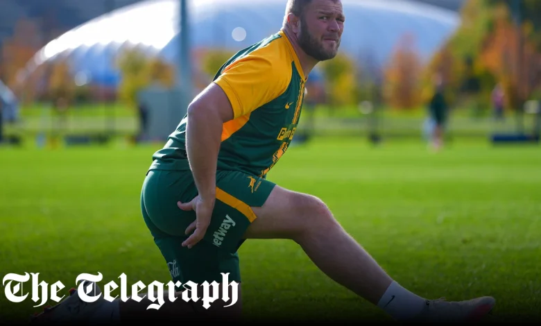 Duane Vermeulen, 39-year-old retired Springbok, on standby to play against Wales
