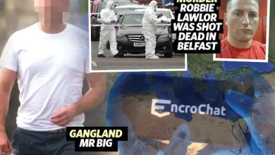 Dublin gang boss ‘Mr Big’ arrested as part of major garda probe into organised crime