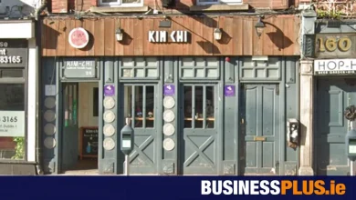 Dublin restaurant closed after dead rat discovered under dishwasher