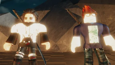 Dueling Grounds codes November 2025