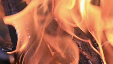 Dumpster Fire (Literally) Closes NJ Mall, Officials Say